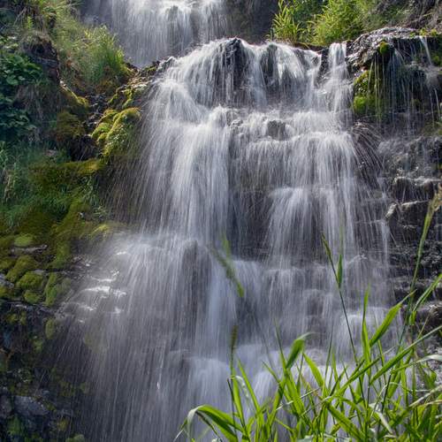 Photo #13593074