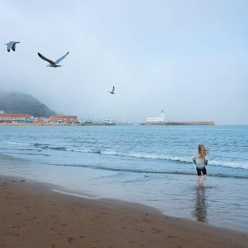 Photo #13593101
