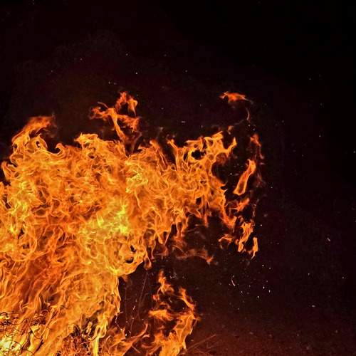 Photo #13593217