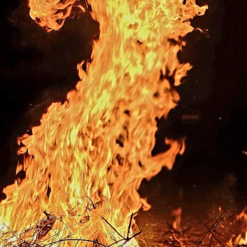 Photo #13593219