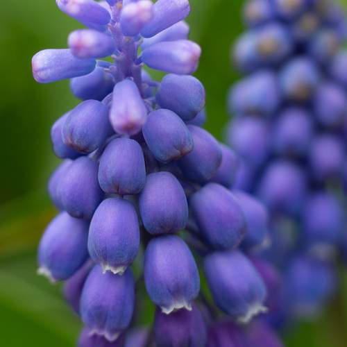 Photo #13593244