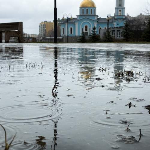 Photo #13593247