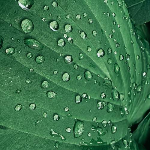 Photo #13593299