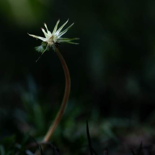 Photo #13593329