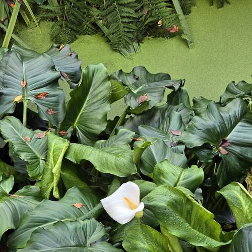 Photo #13593397