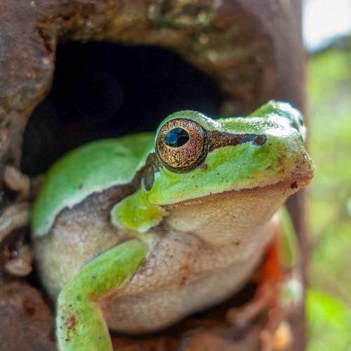 Photo #13593408