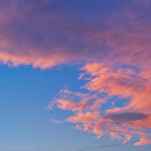Photo #13593455
