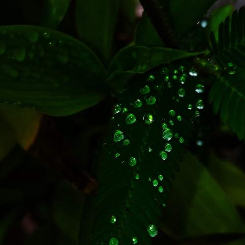 Photo #13593498