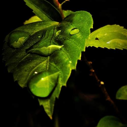 Photo #13593499