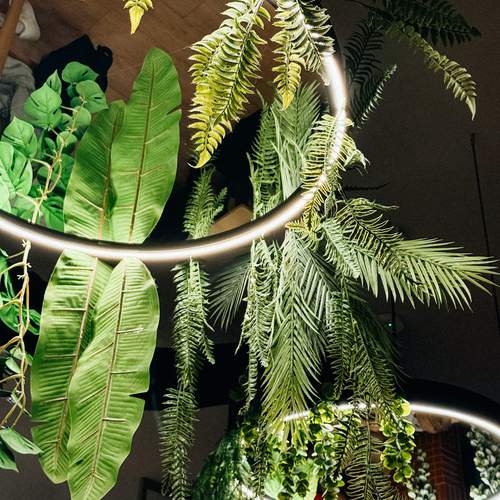 Photo #13593523