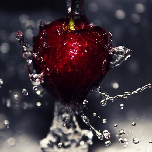 Photo #13593541