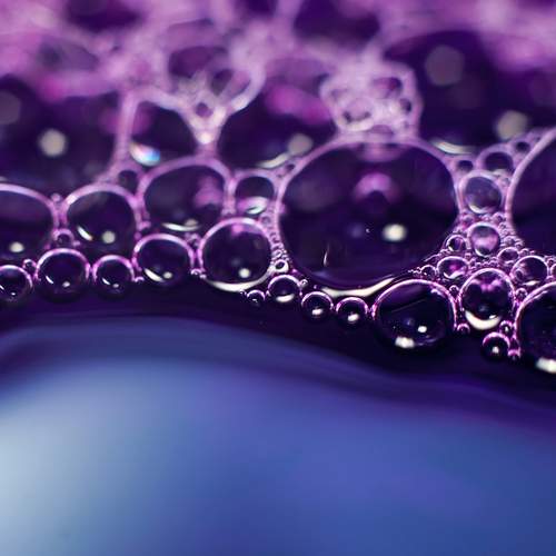 Photo #13593542