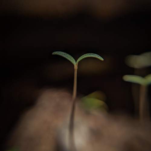 Photo #13593557