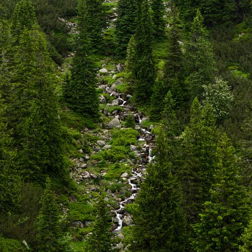 Photo #13593568