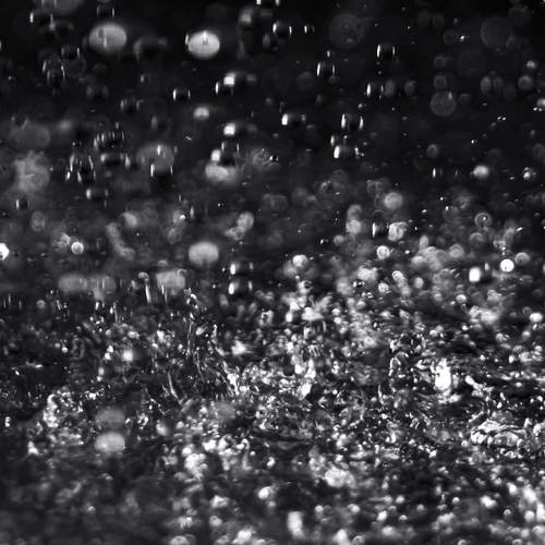 Photo #13593584