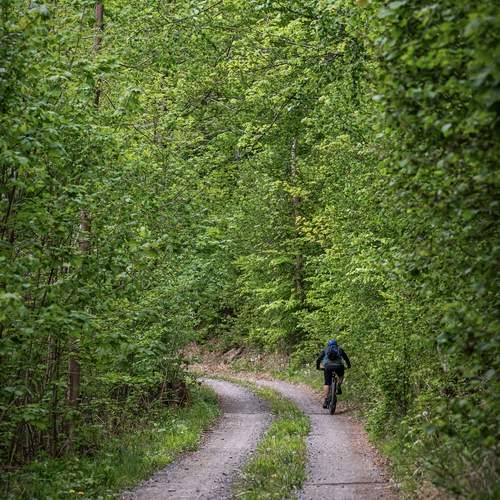 Photo #13593601