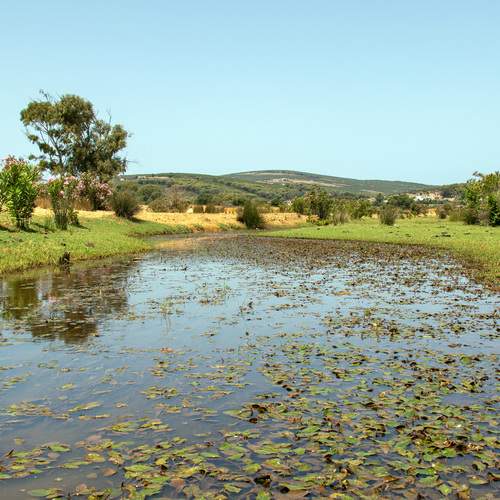 Photo #13593669