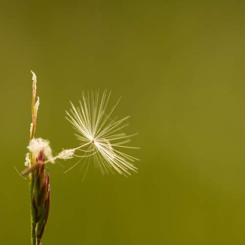 Photo #13593694
