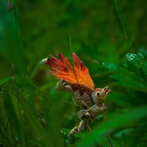 Photo #13593710