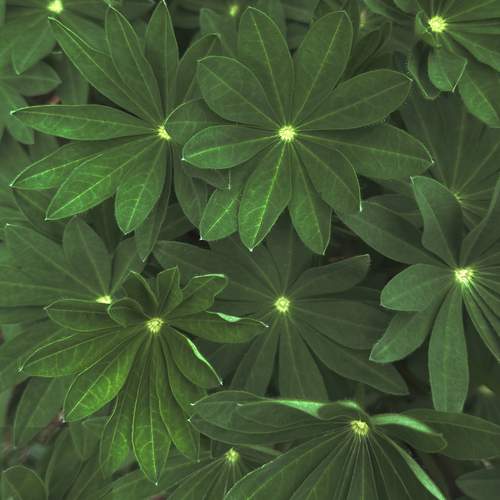 Photo #13593745