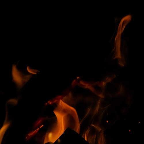 Photo #13593784