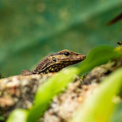 Photo #13593867