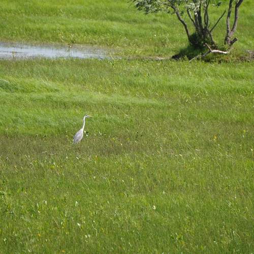 Photo #13594094
