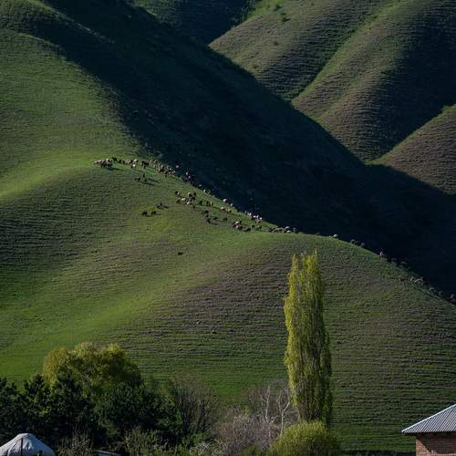 Photo #13594107