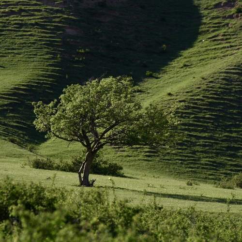 Photo #13594109