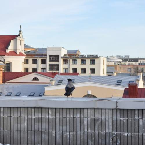 Photo #13594112