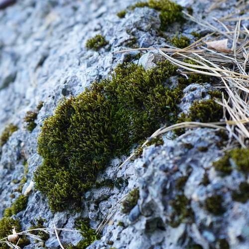 Photo #13594137