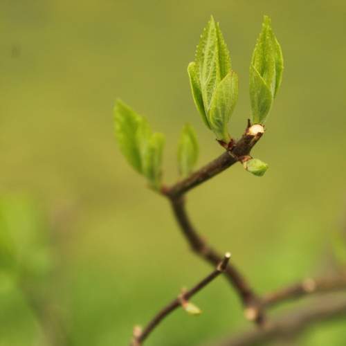 Photo #13594146
