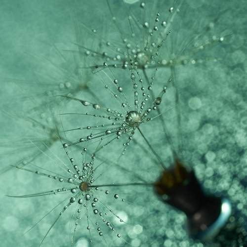 Photo #13594157