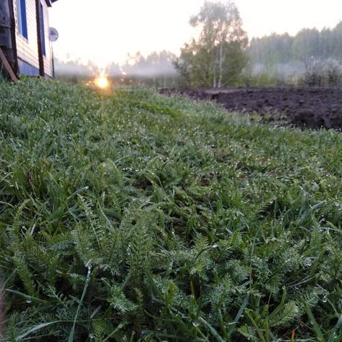 Photo #13594211