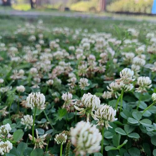 Photo #13594213