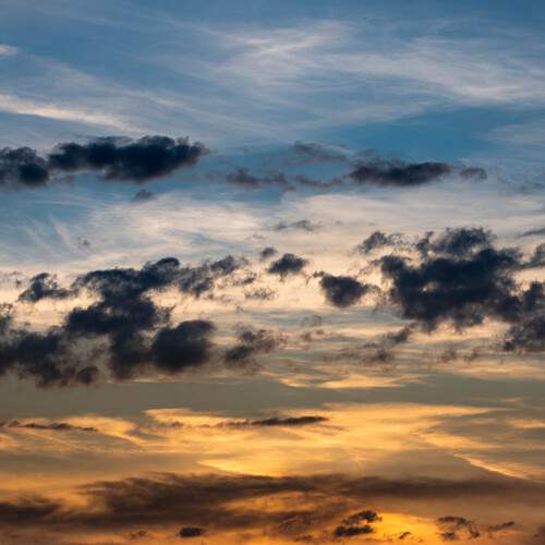 Photo #13594220