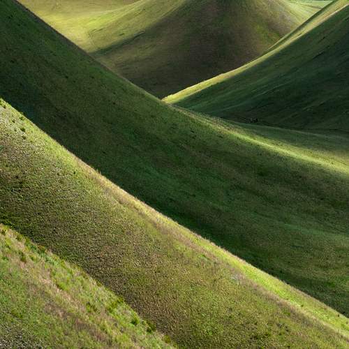 Photo #13594294