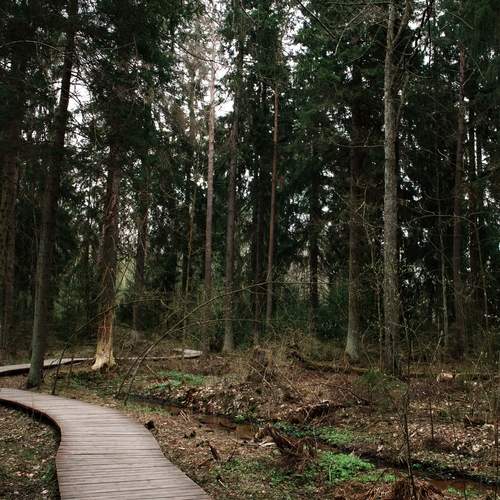 Photo #13594393