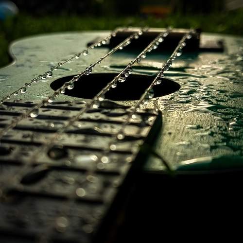 Photo #13594400