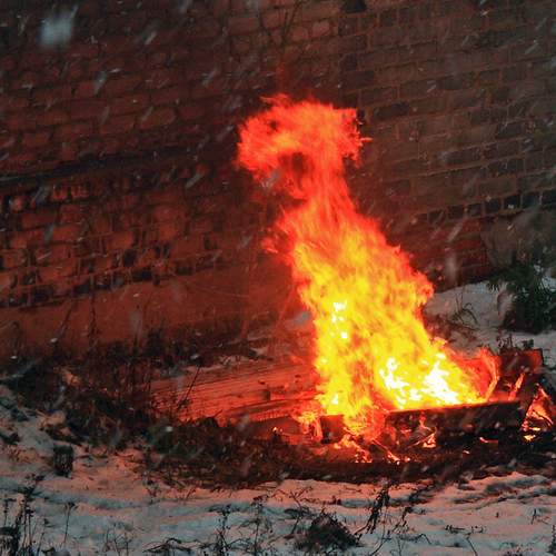 Photo #13594415