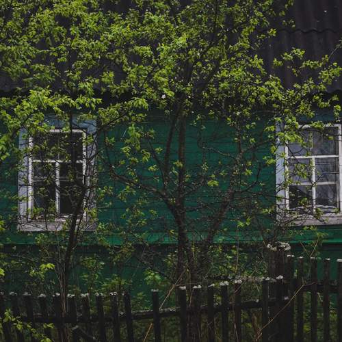 Photo #13594436
