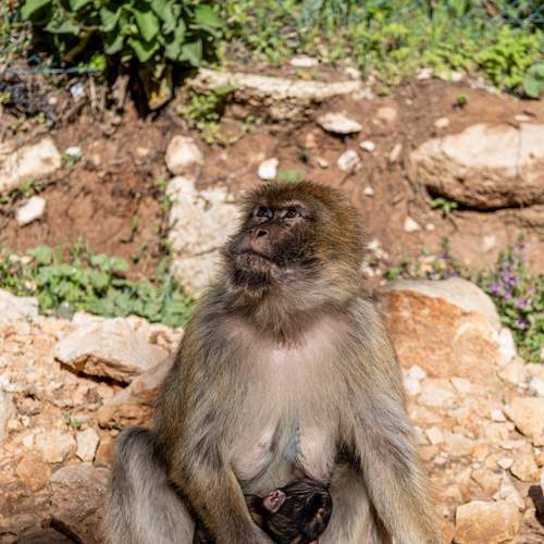 Photo #13594455