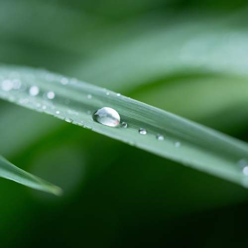 Photo #13594504