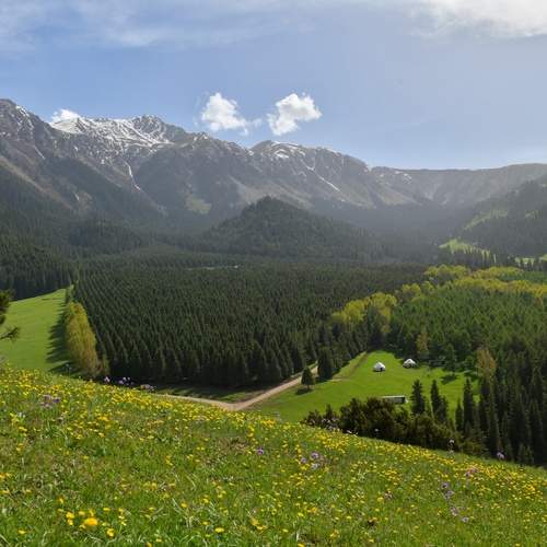 Photo #13594523