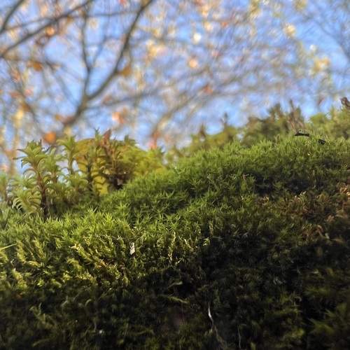Photo #13594591