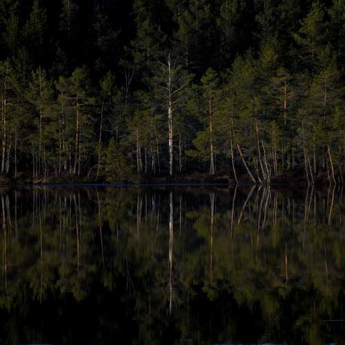 Photo #13594599