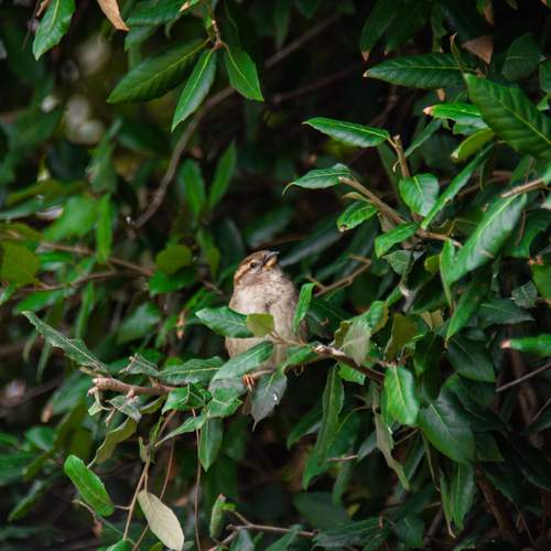 Photo #13594623