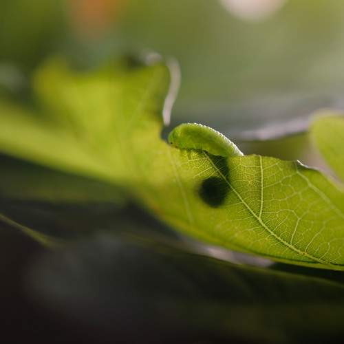 Photo #13594644