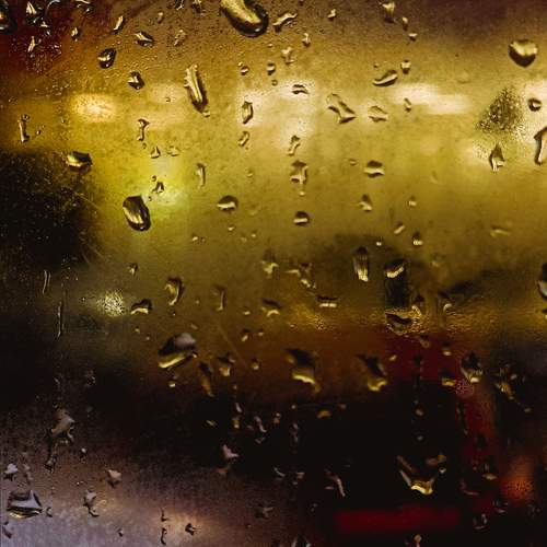 Photo #13594680