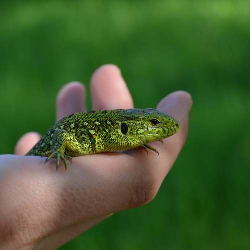 Photo #13594738